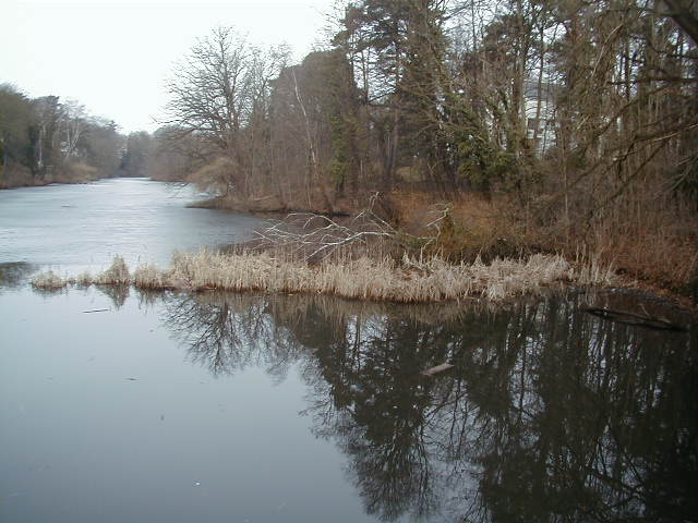 Blick über den Hubertussee