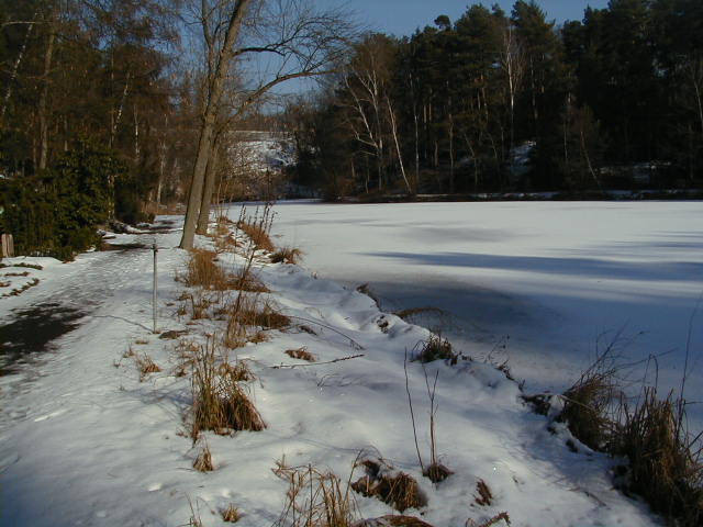 Winterstimmung am Sausuhlensee