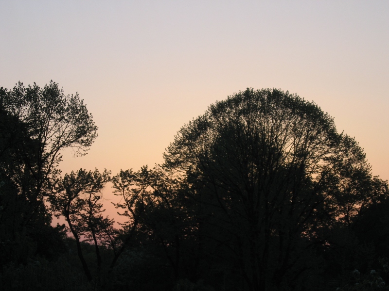 Sonnenaufgang am Fennsee