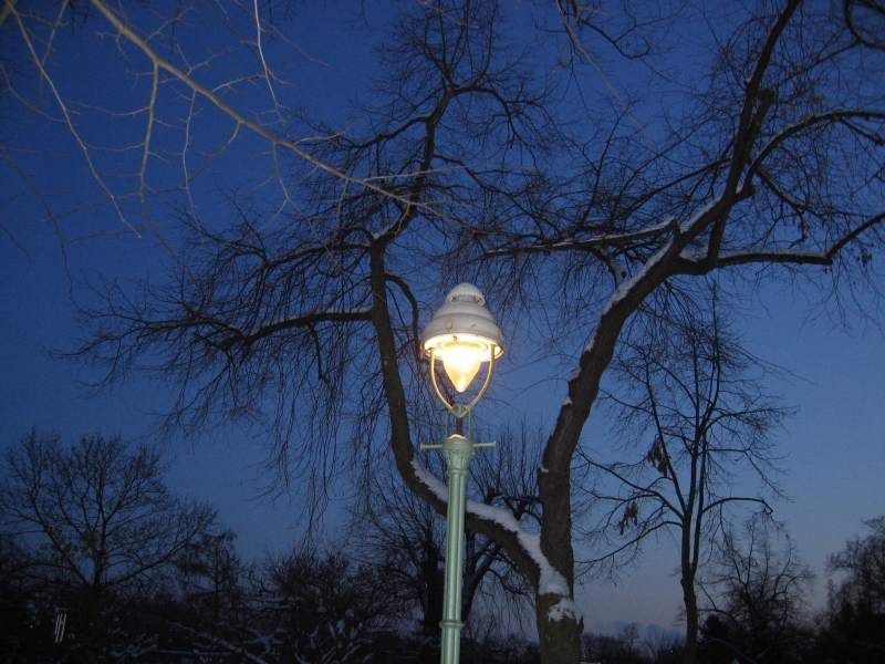 Unsere Straßenbeleuchtung an einem Winterabend