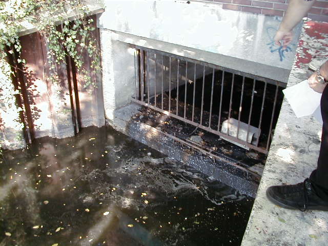 Wassereinlauf Halensee