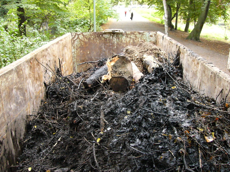 Container voller Räumgut