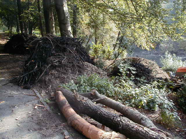 Die Fennseeberäumung (Oktober 2006)