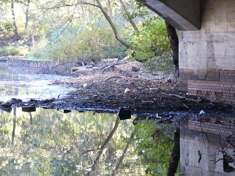 vermüllter Uferbereich