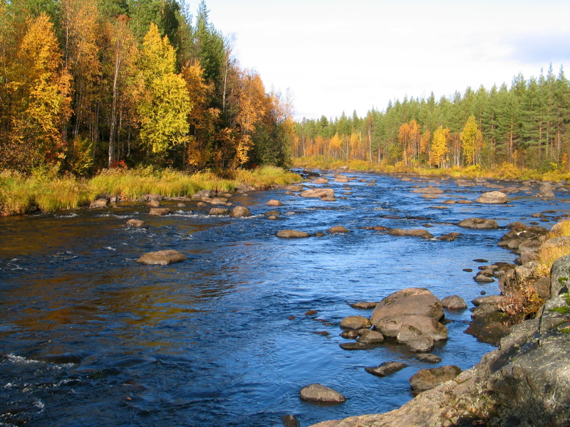 Herbstliche Flusslandschaft in Finnland