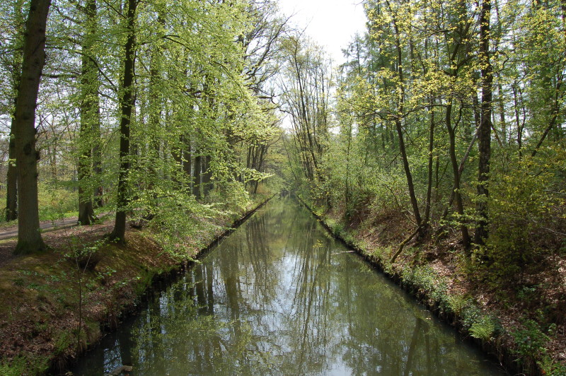 Kanal im Frühjahr