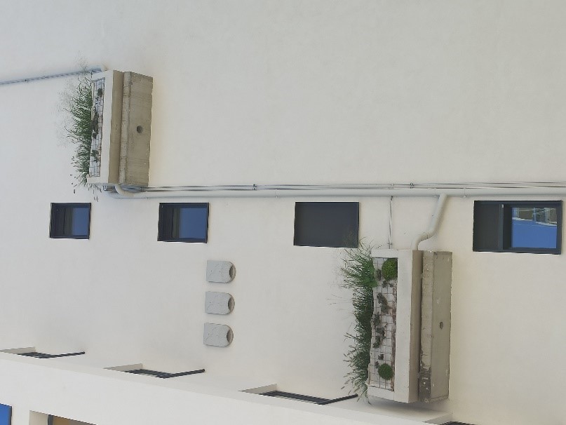 Fassadenbegrünung und Fledermauskästen an einem Neubau