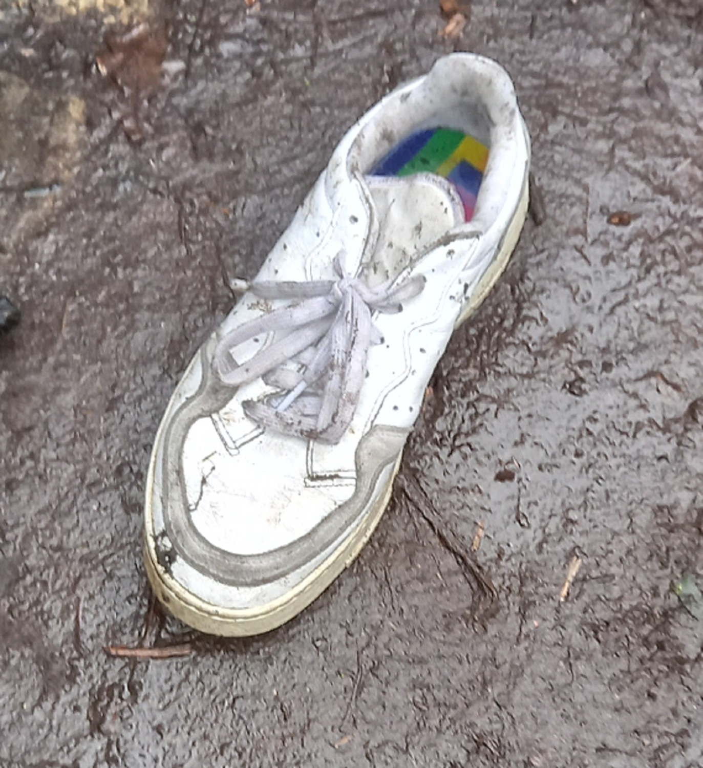 Ein alter Schuh