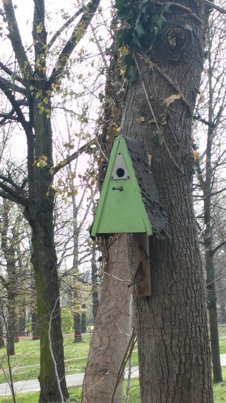 Nisthöhle Ø 32mm im Volkspark Friedrichshain