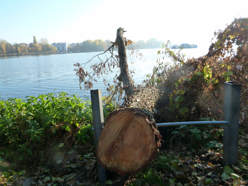 Die eingebrachten Äste sind durche eine Stahlkonstruktion befestigt