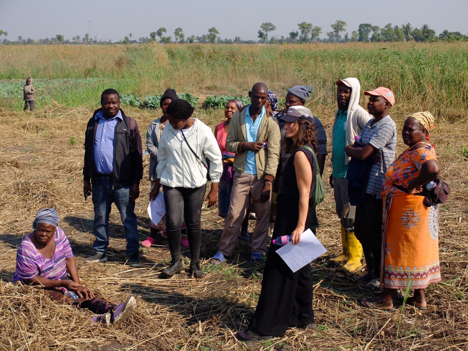Bodenversalzung in Maputo