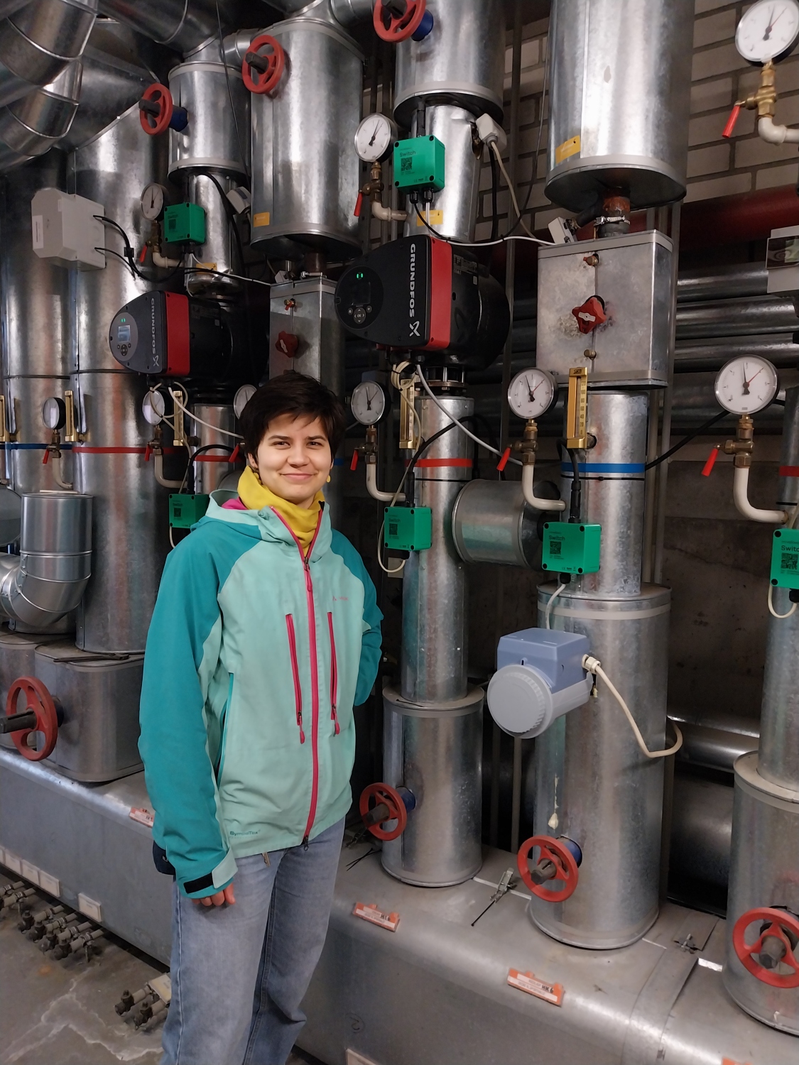 Valovo Heizungsregelung