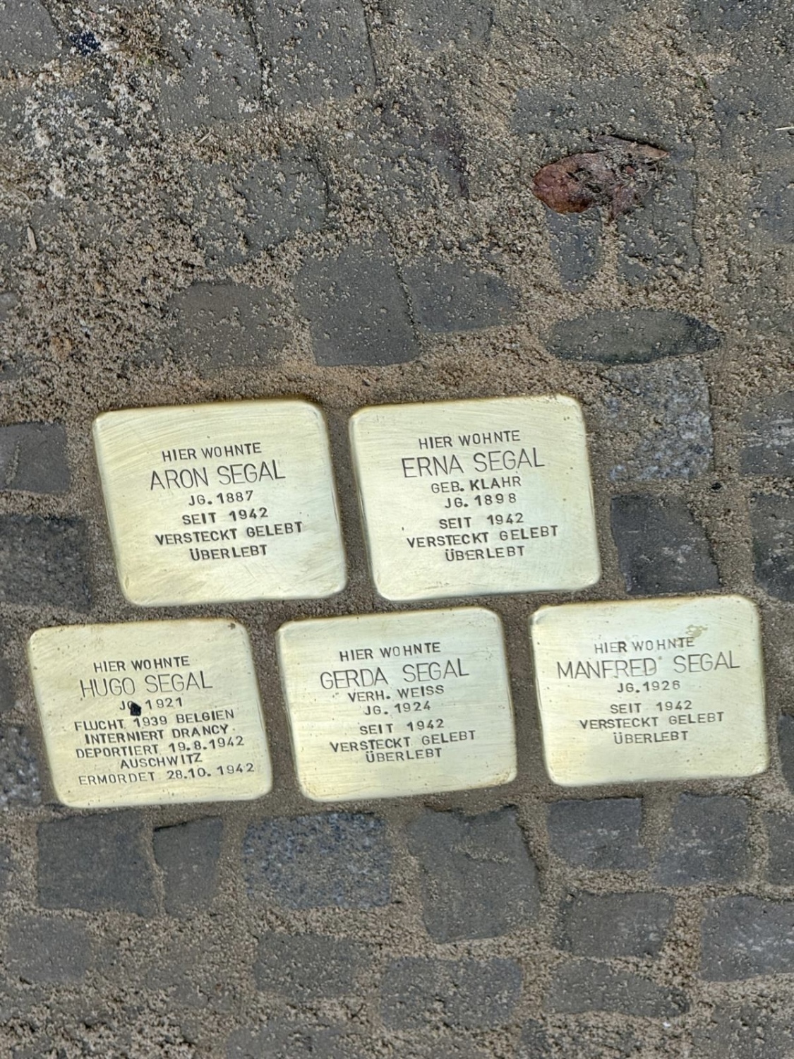 2026-02-15 Stolpersteine Fam. Segal
