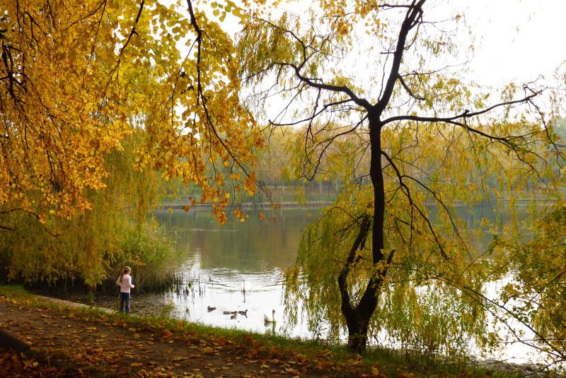 "Orankesee im Herbst"