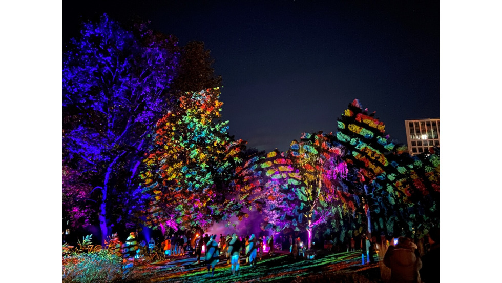 2024-10-11-festival-of-lights_-ba-lichtenberg11.jpg