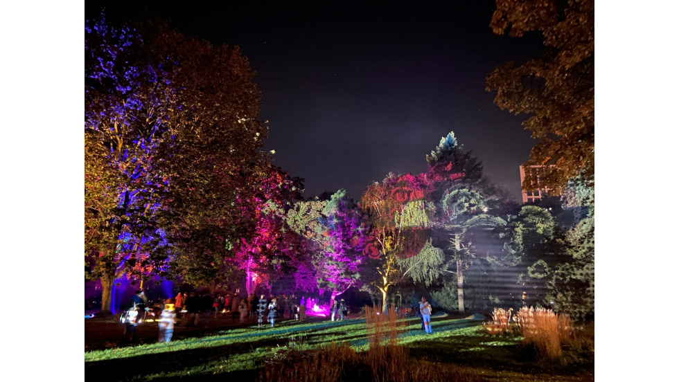 2024-10-11-festival-of-lights_-ba-lichtenberg20.jpg