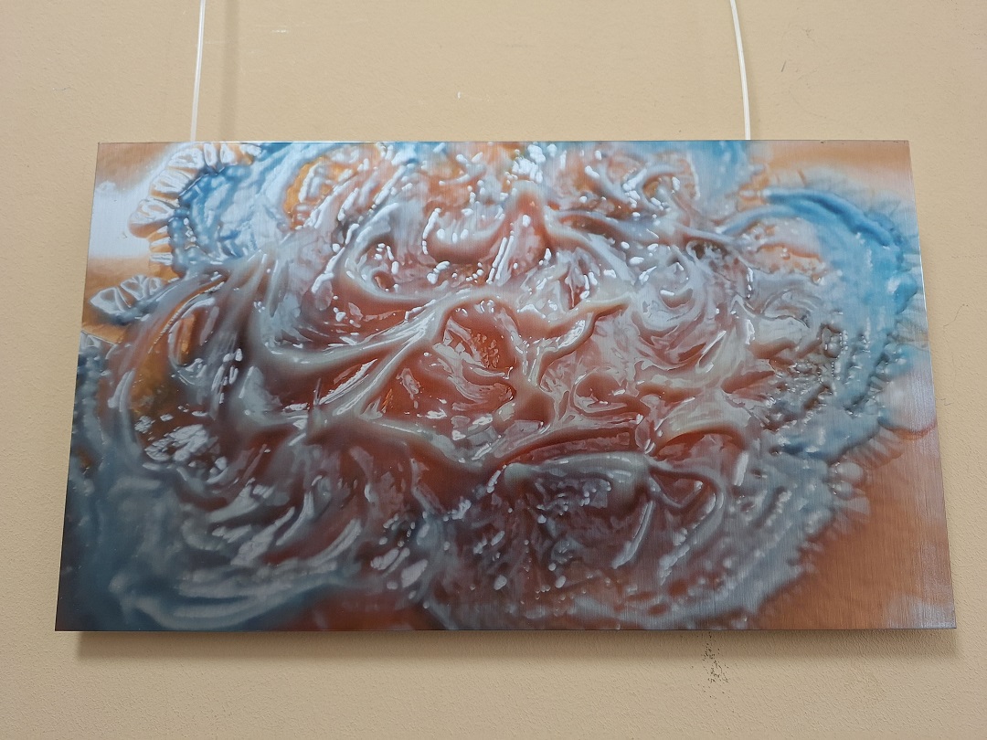 Ausstellung im Rathaus mit dem Thema Bakterienbilder
