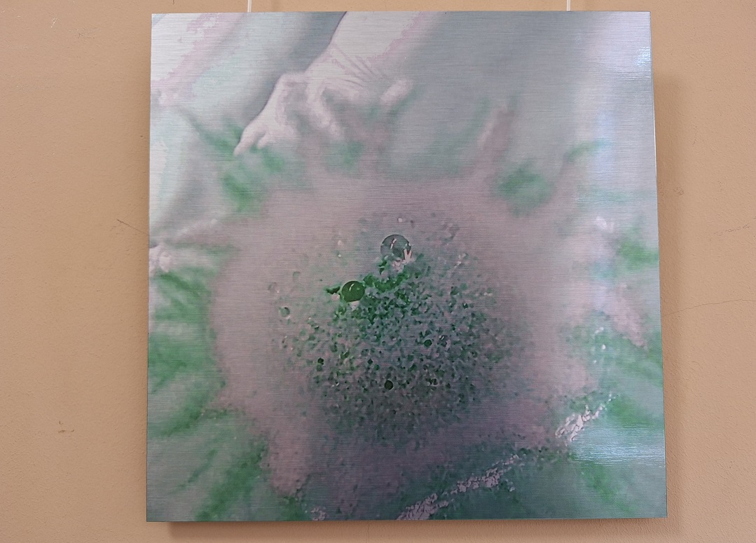 Ausstellung im Rathaus mit dem Titel Bakterienbilder – Die Schönheit der unsichtbaren Welt