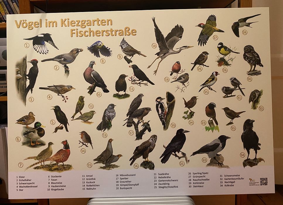 Naturlernpfad Flora und Fauna FEIN 2024