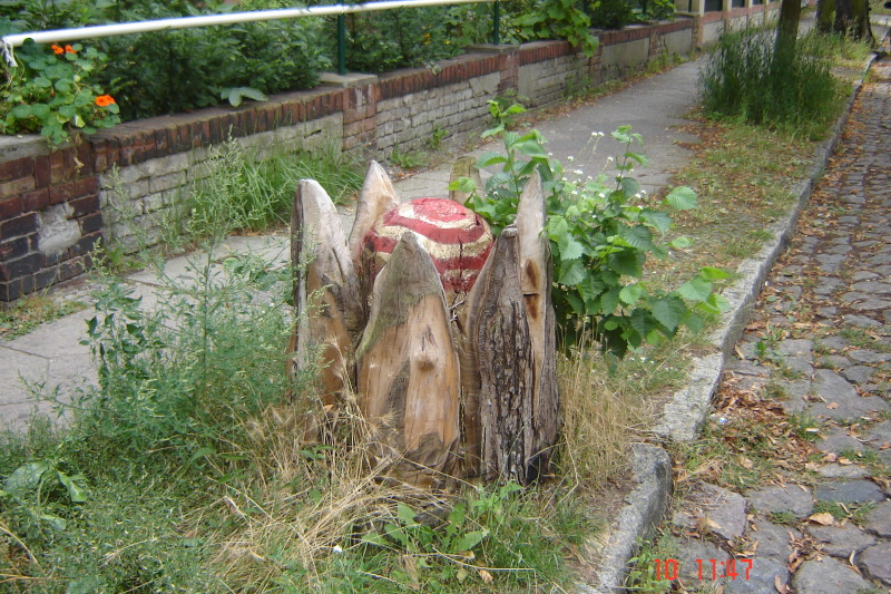 Beispielfoto für eine durch Bürgerinnen und Bürger gepflegte Baumscheibe in Lichtenberg
