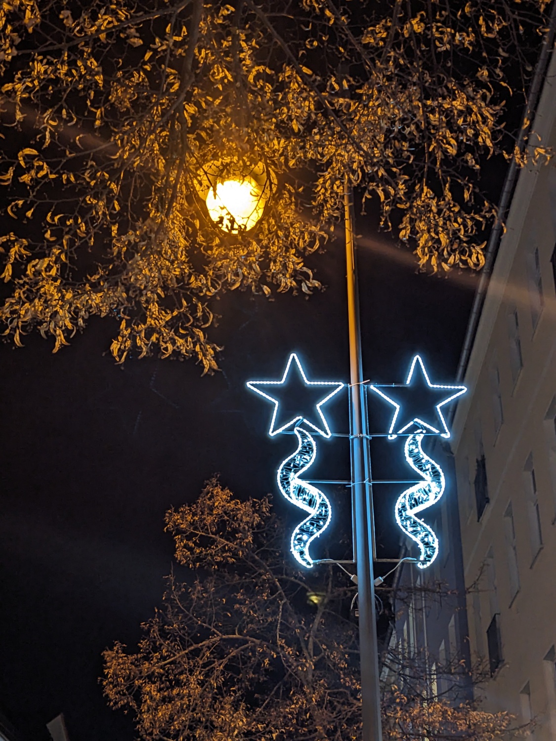 Leuchtelement der Winterbeleuchtung in der Weitlingstraße