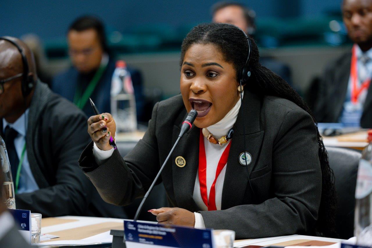 Eine globale Debatte zur dezentralen Entwicklungszusammenarbeit der Regionen