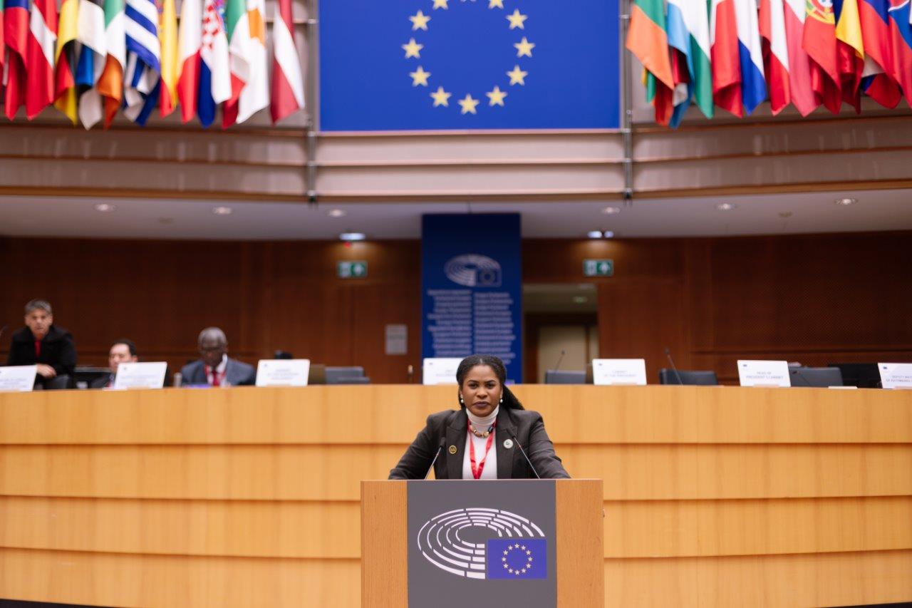 Teilnahme an der 169. Plenartagung des Ausschusses der Regionen (Europäisches Parlament – Hauptplenarsaal)