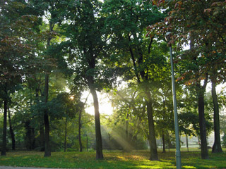 Sonnenaufgang im Tierpark Friedrichsfelde