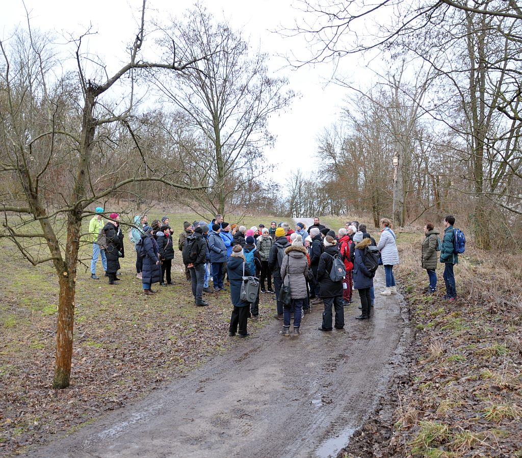 Informationsspaziergang 'Klimaresiliente Weiterentwicklung des Kienbergparks' - Station an einer Trockenwiese