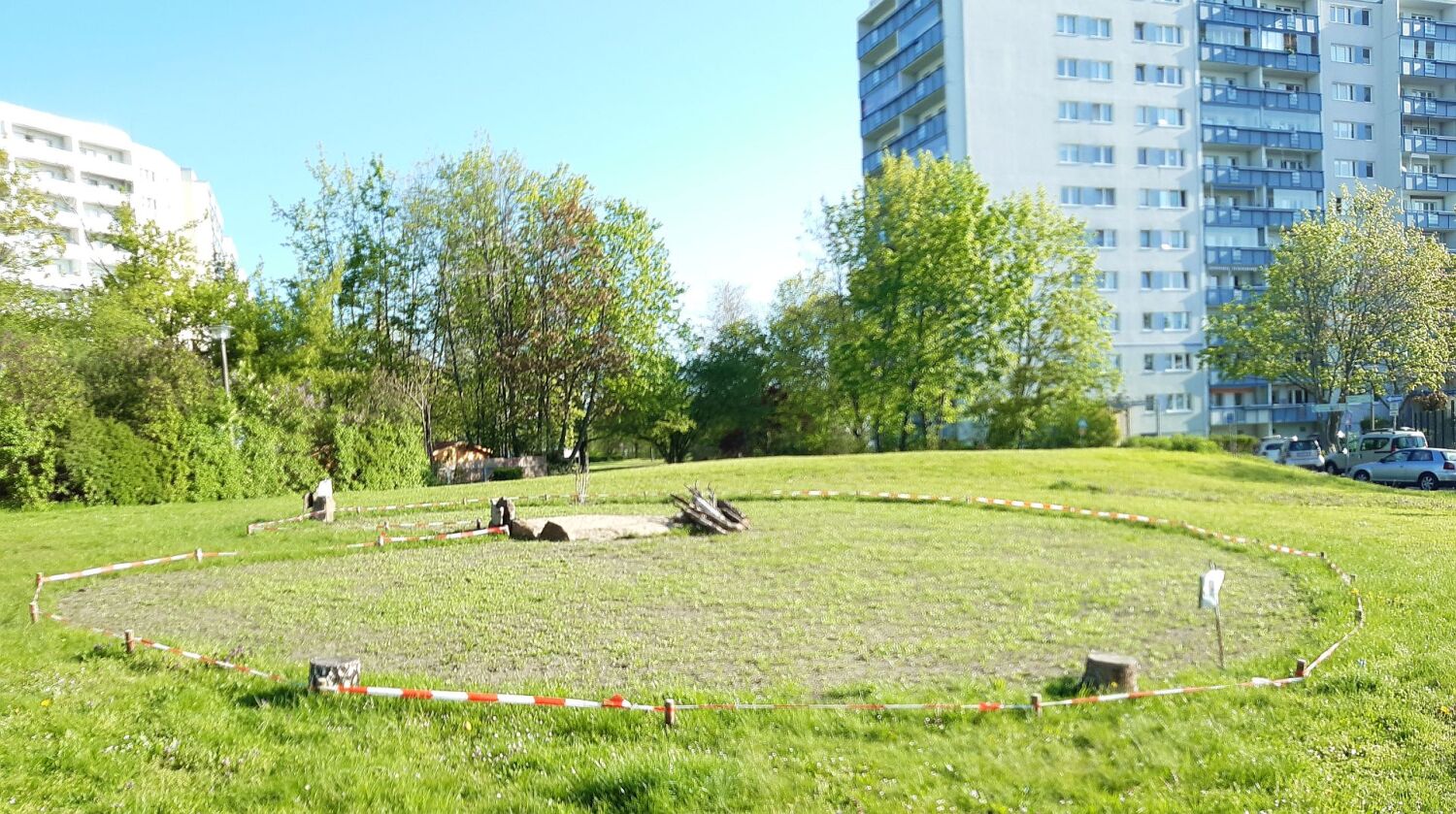 Neue angelegte Wildblumenwiese im „Grünzug Akazienwäldchen zur Poelchaustraße“