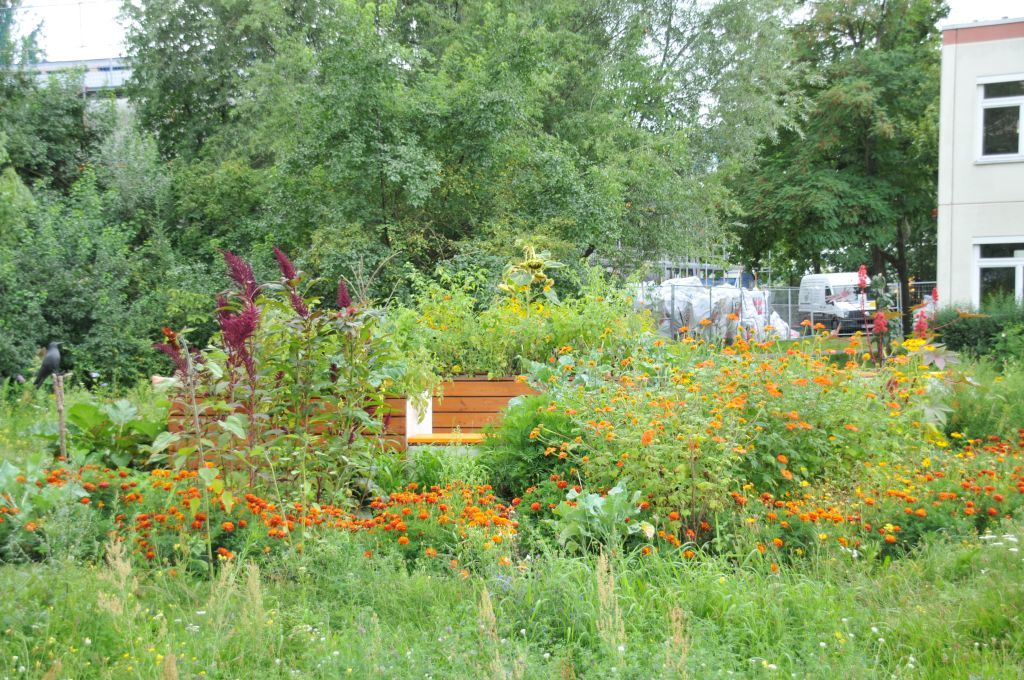 Einweihung Vorplatz des Bruno-Baum-Grünzugs - Blick in den Sonnengarten