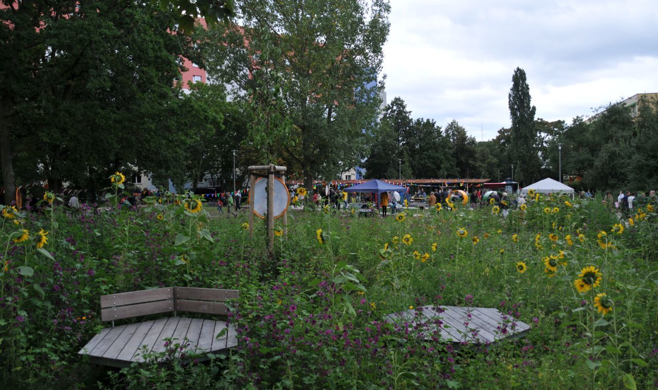 Einweihung Vorplatz des Bruno-Baum-Grünzugs - Blick über die insektenfreundlichen Blühstreifen