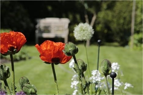 Im Garten von Ingrid Gorr