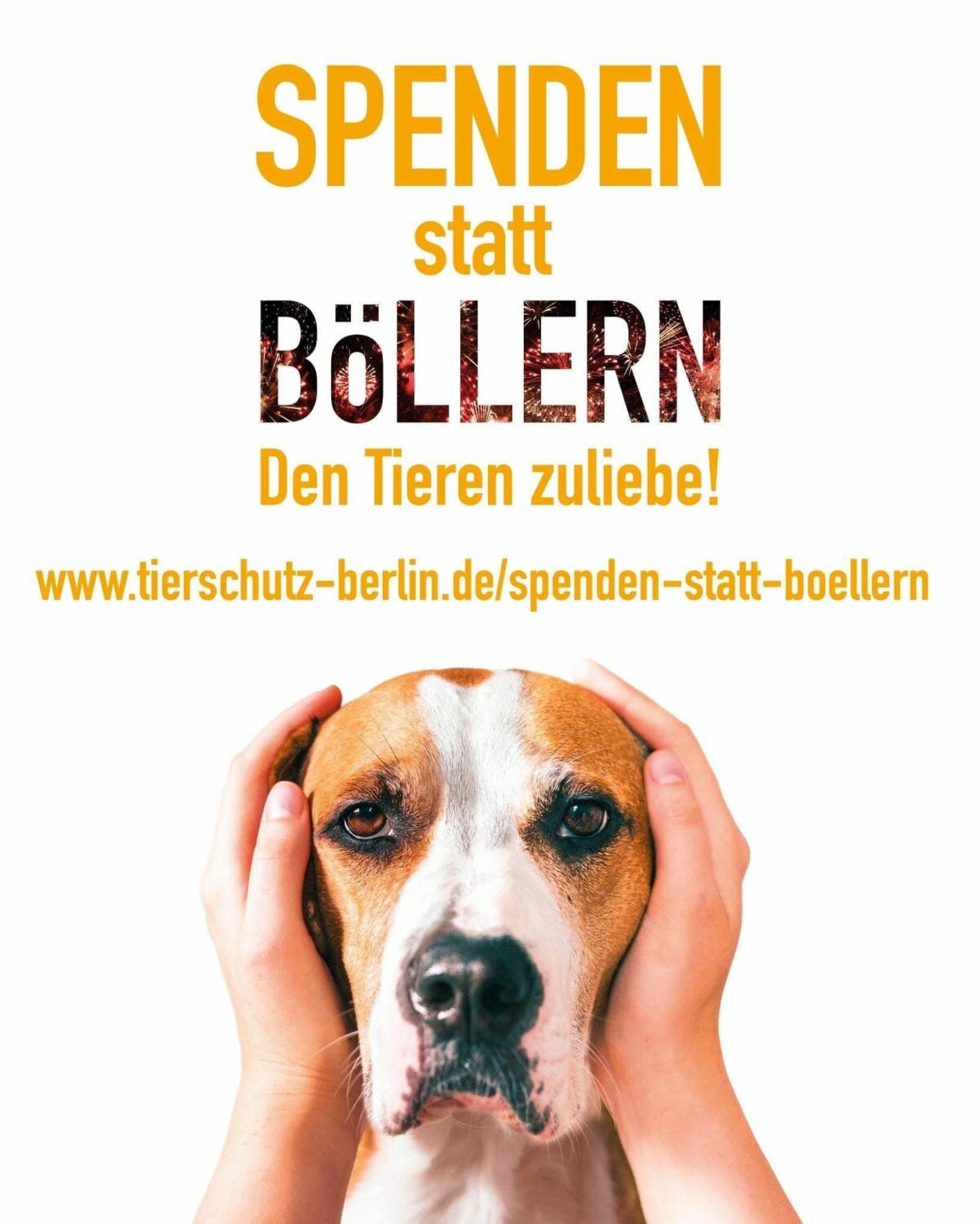 Plakat "SPENDEN statt BÖLLERN - Den Tierne zuliebe!"