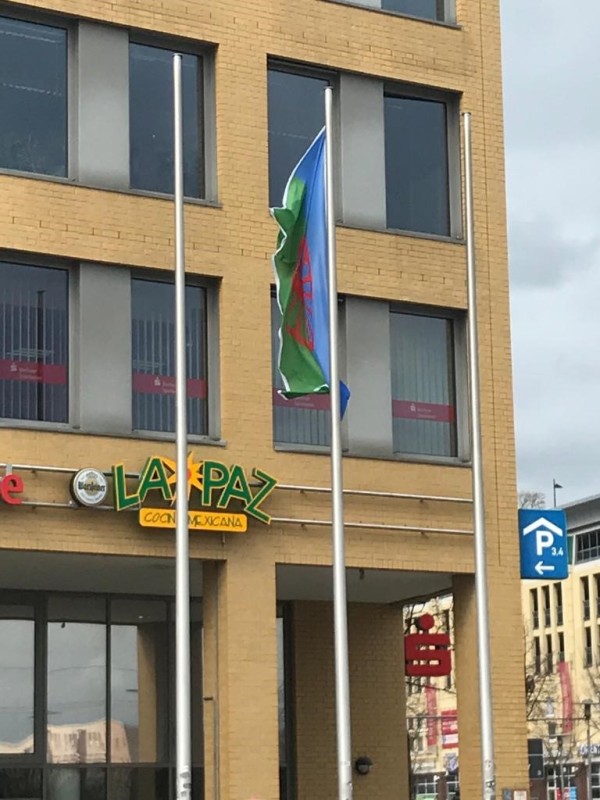 Internationaler Roma-Tag am 8. April 2021 -Fahne