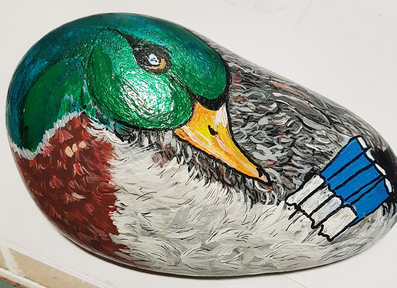 Entenstein - Das Bild zeigt einen Stein mit abgerundeter Form, bemalt mit dem Bild eines Erpels mit metallisch grünem Kopf, der seinen Hals auf den Körper geleget hat