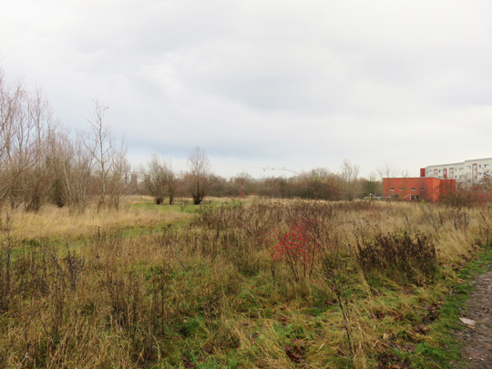 naturnahe Grünfläche im Norden und Jugendfreizeiteinrichtung