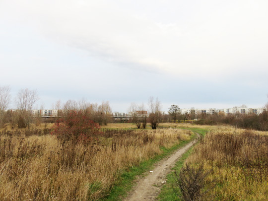 Flächen für geplantes allgemeines Wohngebiet (WA1) und nördliche Grünfläche