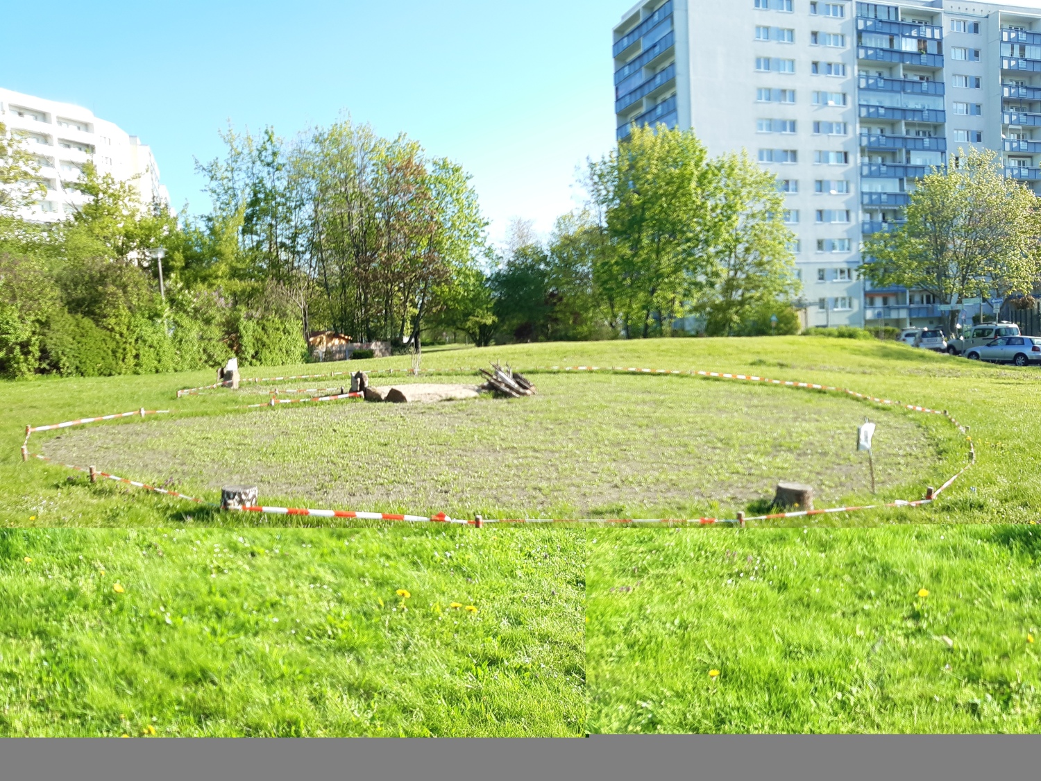 Wildblumenwiese zwischen AdK und Murtzaner Ring