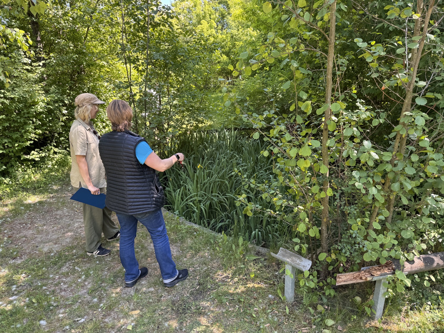 Schulgartenwettbewerb 2025 - Gretel-Bergmann Gemeinschaftsschule