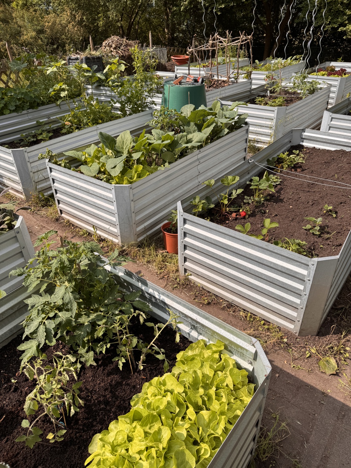 Schulgartenwettbewerb 2025 - Grundschule an der Wuhle