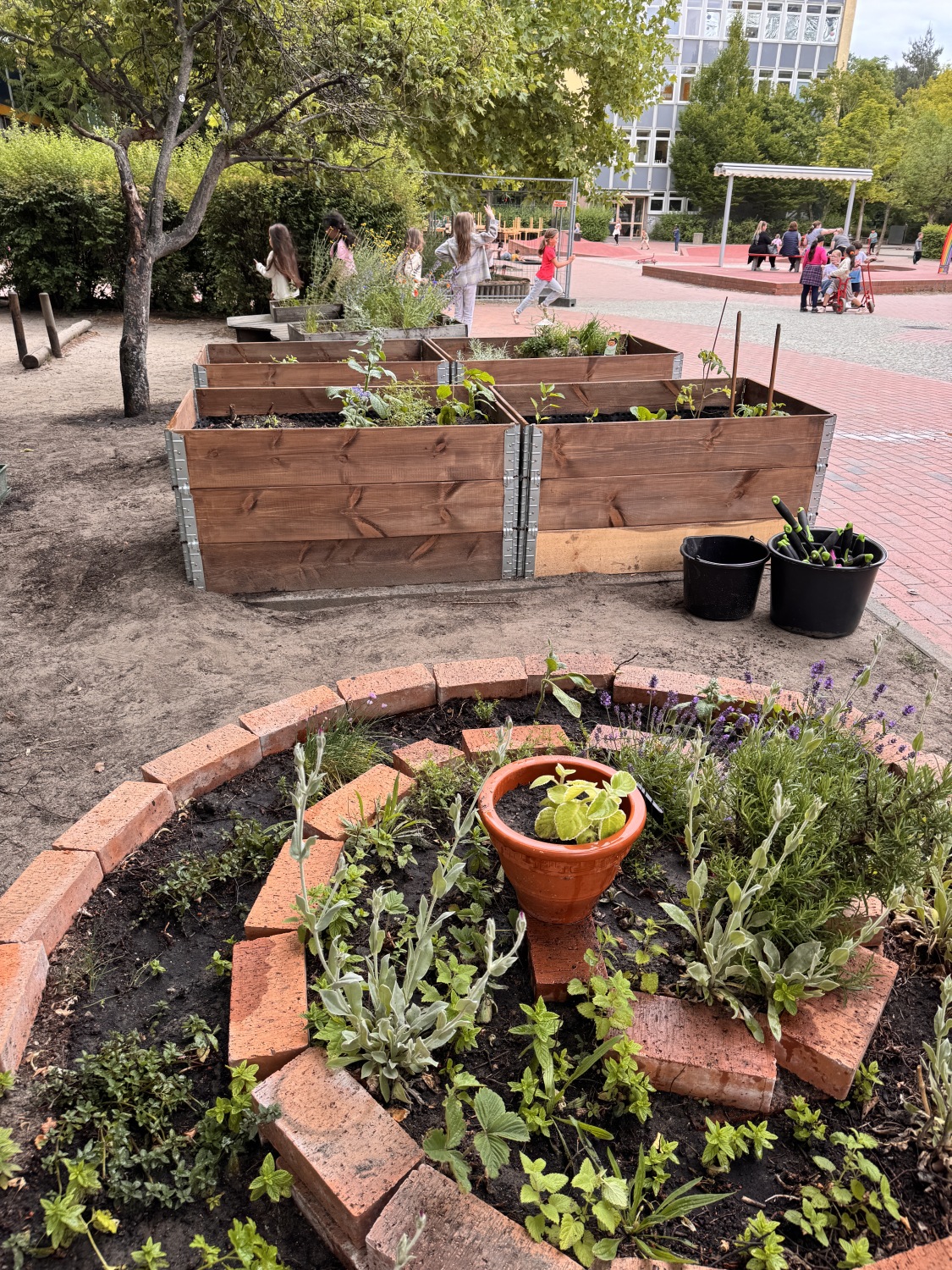 Schulgartenwettbewerb 2025 - Grundschule unter dem Regenbogen