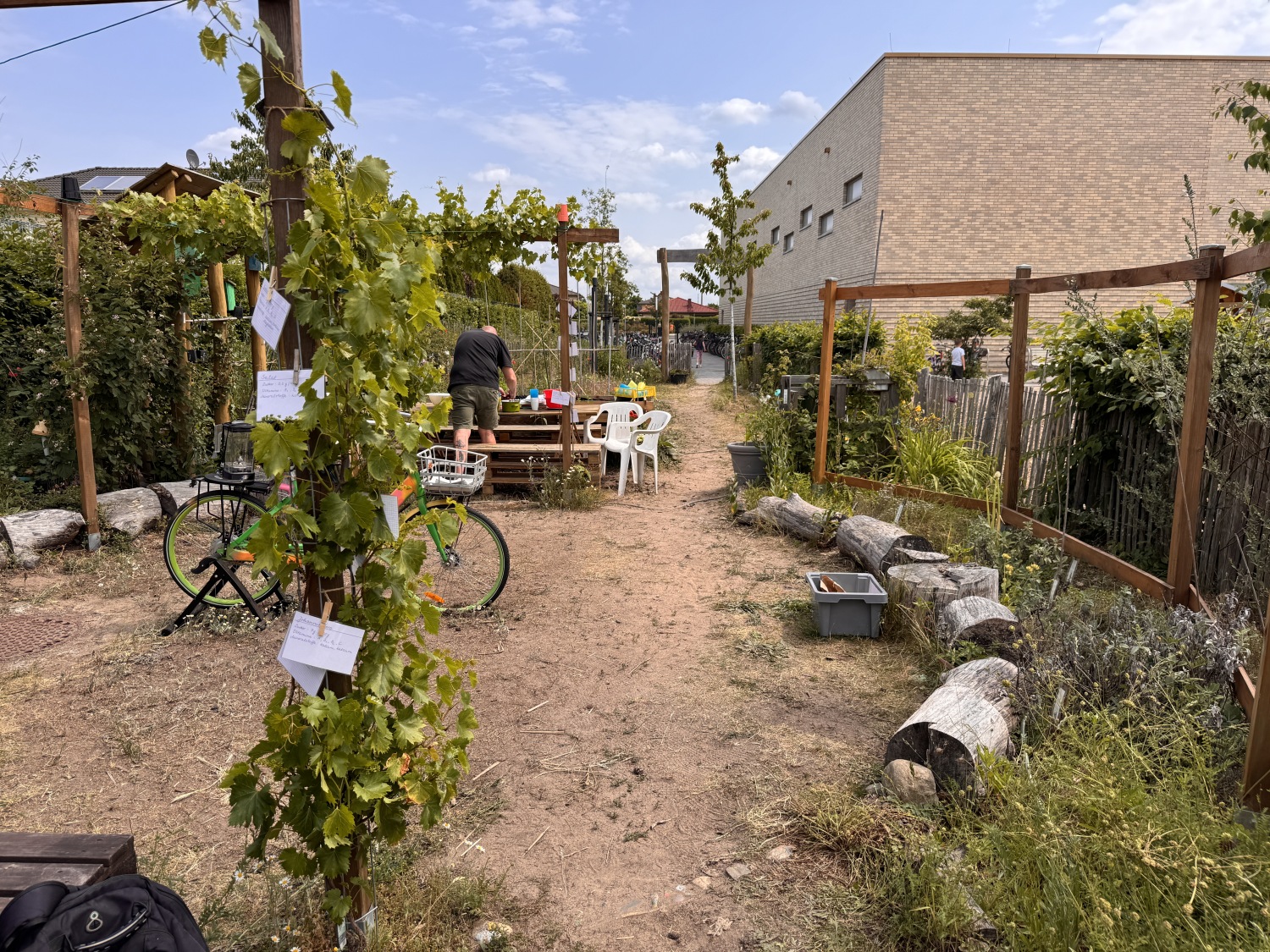 Schulgarten Grundschule am Fuchsberg