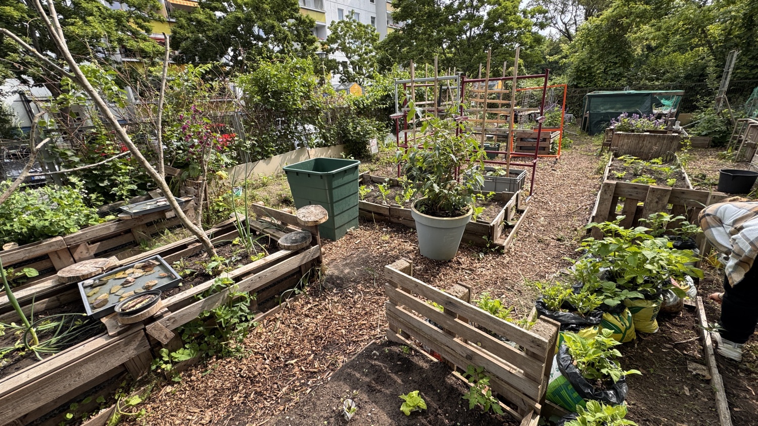 Schulgarten Grundschule am Hollerbusch