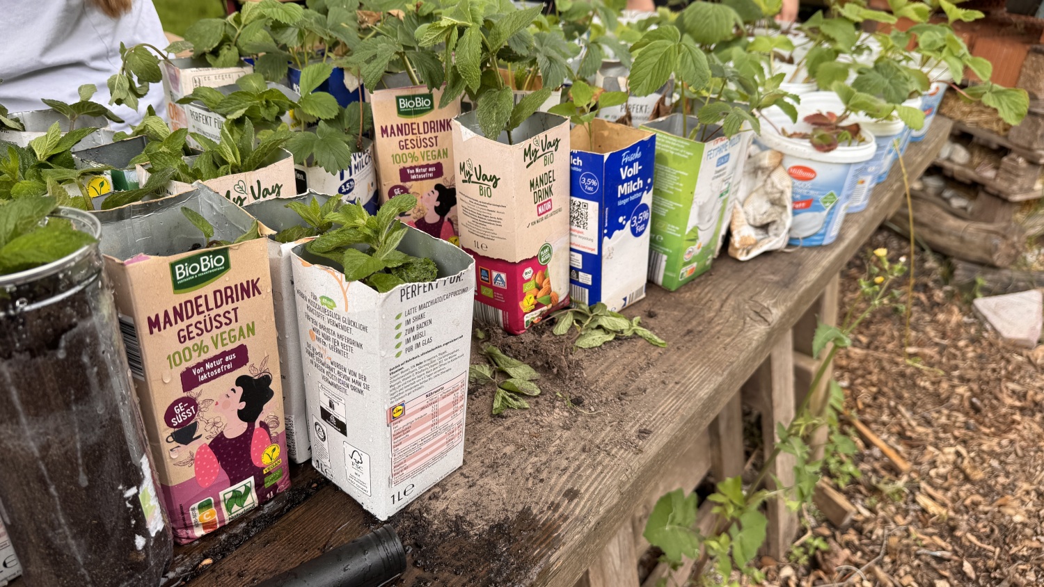 Schulgarten Grundschule am Hollerbusch