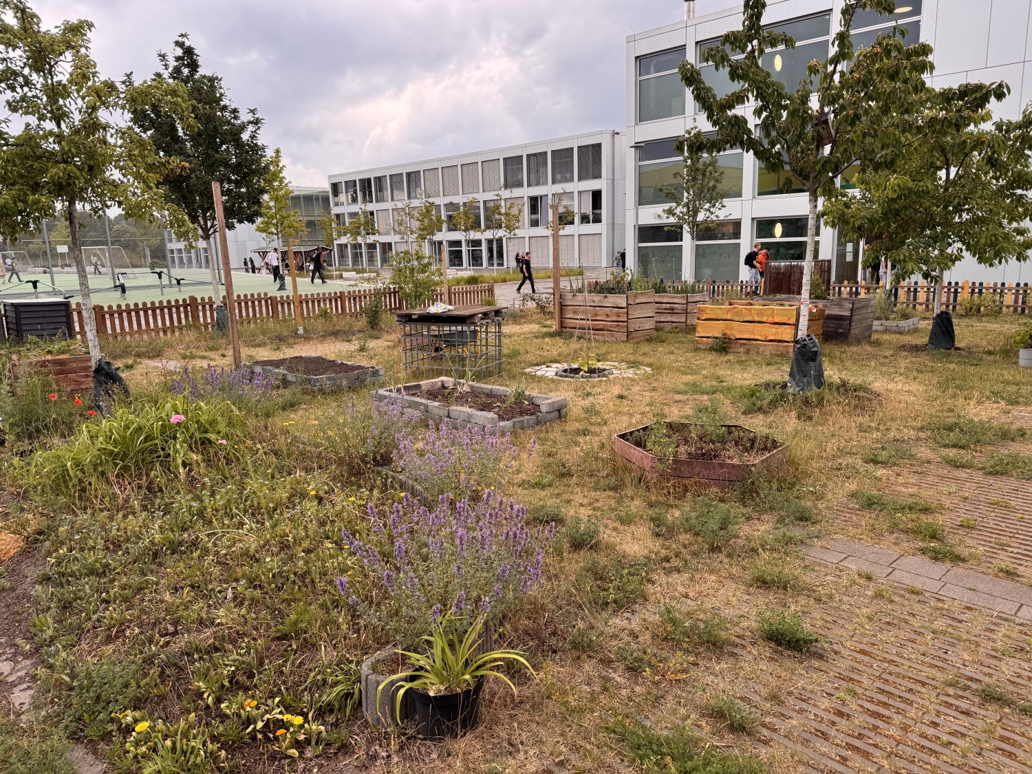 Schulgartenwettbewerb 2025 - ISS Mahlsdorf