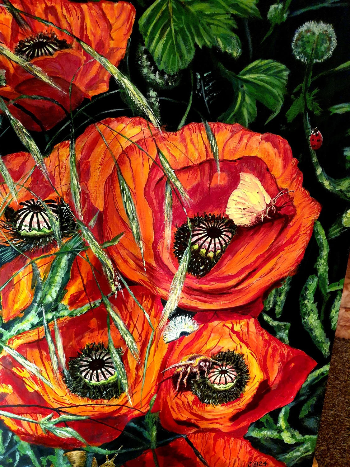 Mohnblumen Vier im Garten