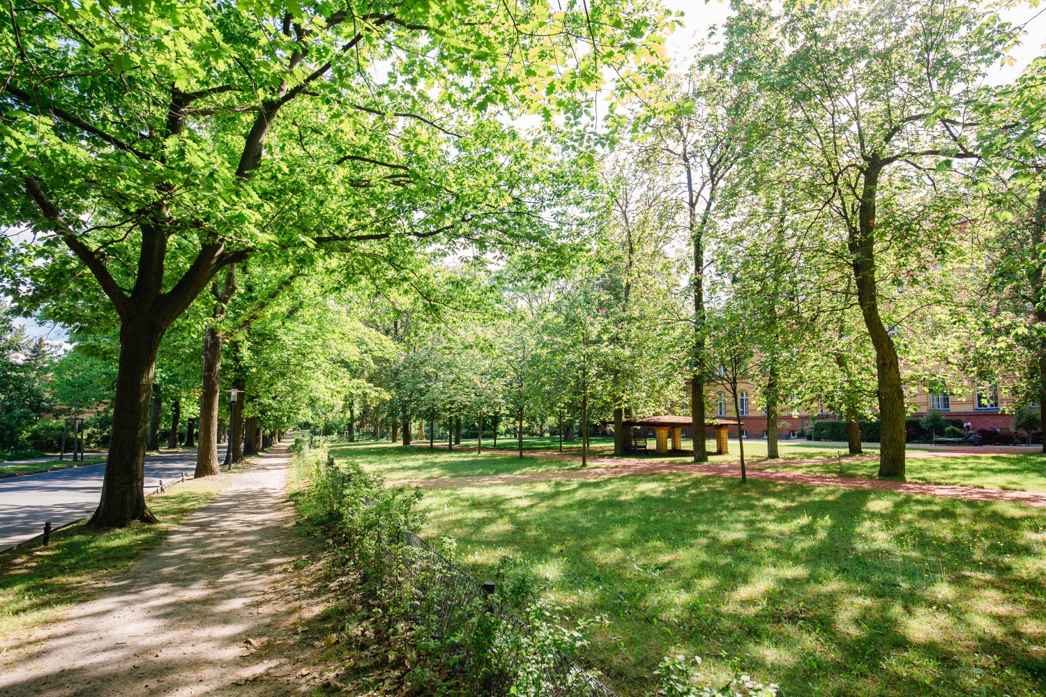 Gehölze in Kaulsdorf