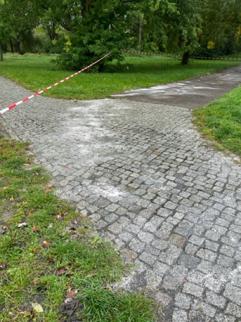 Vandalismusschäden