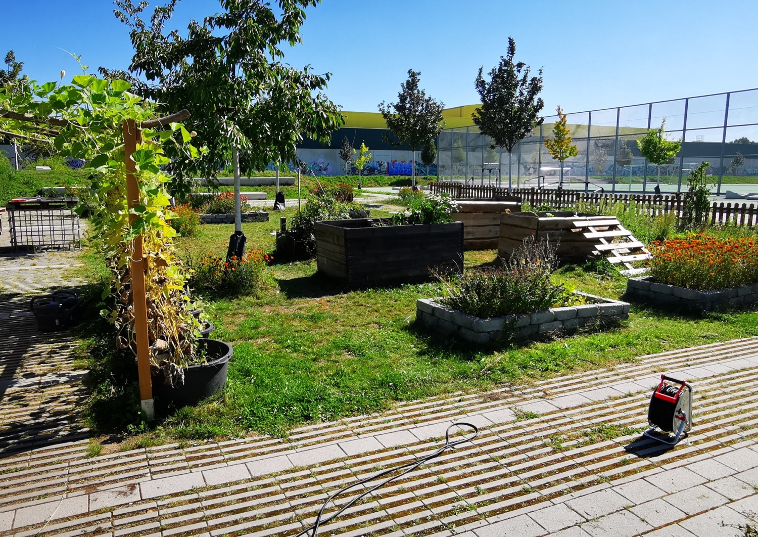 Schulgarten der ISS Mahlsdorf